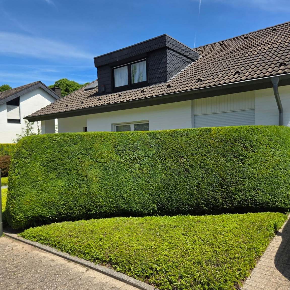 Makellos geschnittene Hecke vor einem Wohnhaus