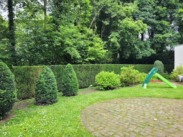 Kegelf&ouml;rmiger Formschnitt in einem parkartigen Garten